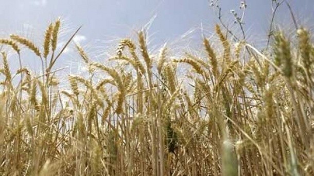 بسته های اینترنتی تمدید می‌شوند