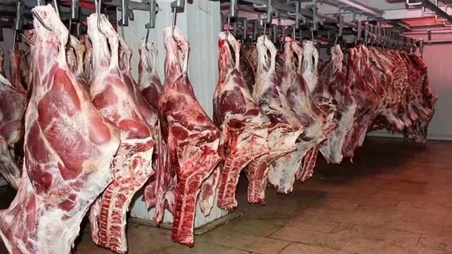 خبر مهم درباره عرضه گوشت اسب و الاغ 