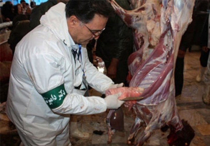 ورود ویروس جدید مشترک میان انسان و دام به کشور