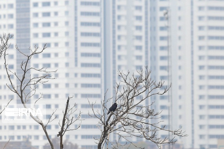 آلودگی هوای تهران تا هفته آینده ادامه دارد