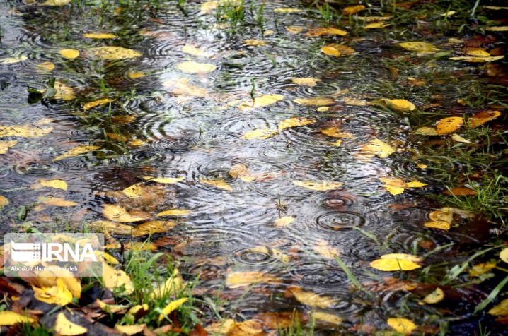 بارش باران و برف طی روزهای آتی در برخی مناطق کشور/ دریای خزر و خلیج فارس مواج خواهد شد