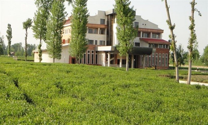 تغییرکاربری سالانه ۱۰ هزار هکتار از اراضی کشاورزی کشور