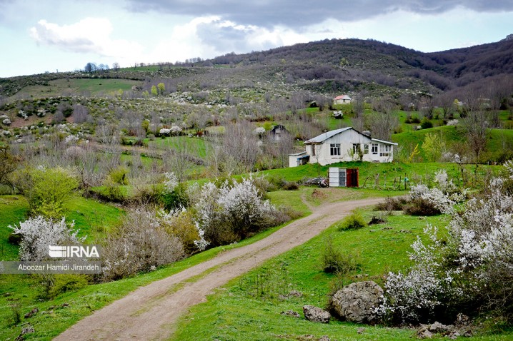 هوا از امروز در اکثر مناطق کشور گرم می‌شود/ وزش باد شدید و خیزش گرد و خاک در ۲۰ استان