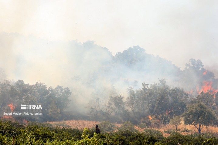 تلاش برای مهار آتش در جنگل های مریوان برای سومین روز متوالی