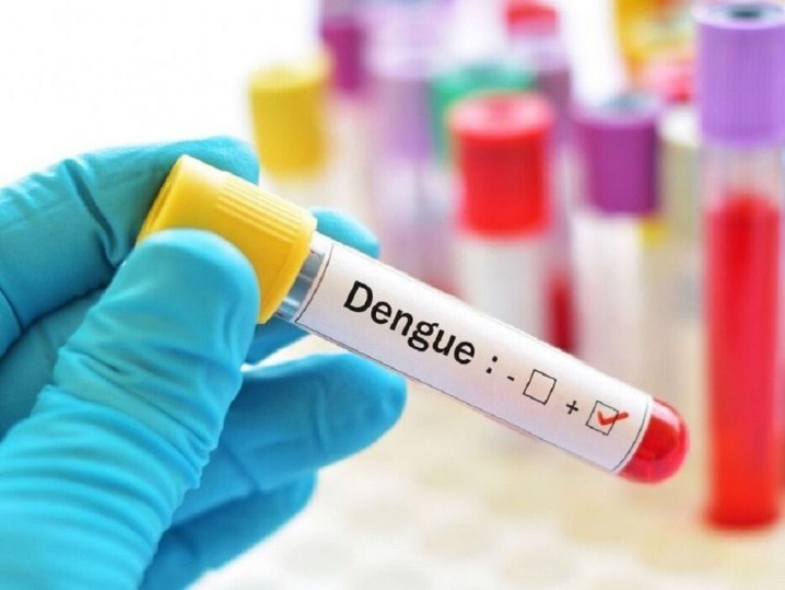 رکورد تب دنگی در قاره آمریکا؛ تداوم گسترش و محدودیت واکسیناسیون