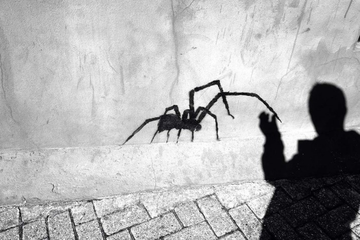 تولید ترس کاذب از حیوانات در انسان امید بهمنی - داود میاندهی