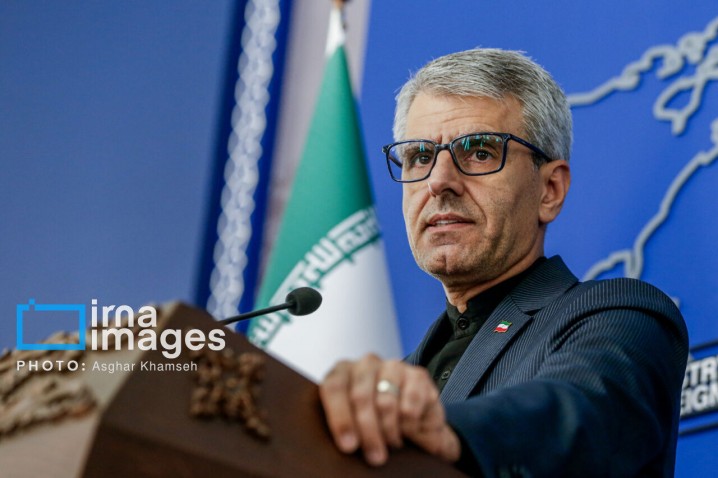 بقائی: ایرانیان برای پاسداشت مرزهای کشور حاضر به جانفشانی هستند