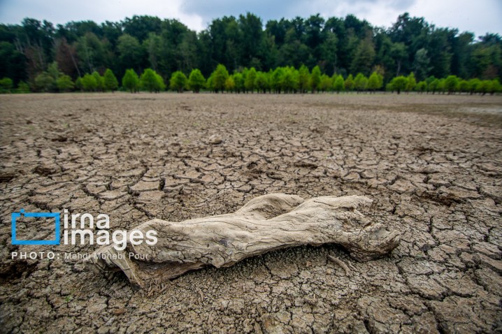 مازندران روی مرز خشکسالی؛ کاهش ۵۳ درصدی بارش‌های مردادی