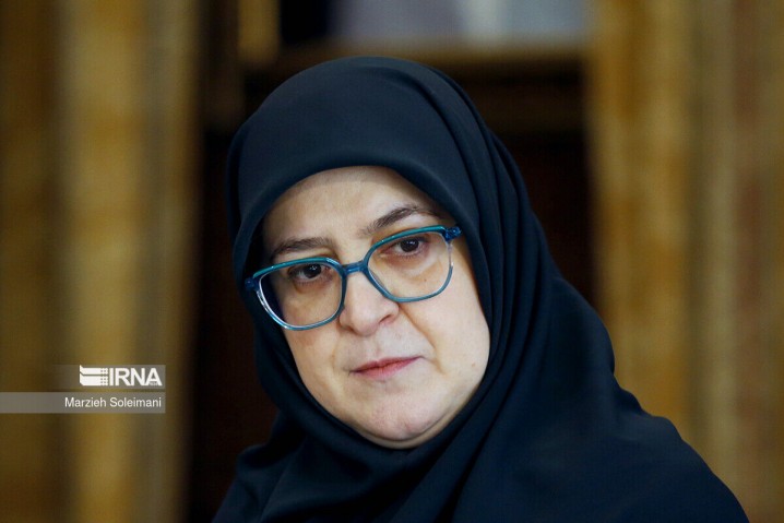 مهاجرانی: دولت به دنبال کاهش فشار ناترازی انرژی بر واحدهای تولیدی است