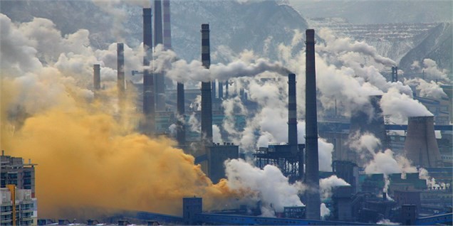 ضرورت قاعده‌مند‌سازی تعیین نرخ خوراک