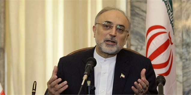 صالحی: ایران ۹۵۰ تن کیک زرد و الیاف کربن می‌خرد
