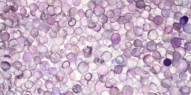 دوگانه التهاب - ثبات در بازار