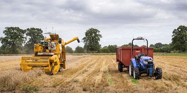 استفاده از بقایای تولیدات کشاورزی در تغذیه دام