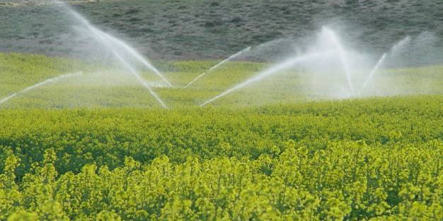 ژاپن طرح کاهش آب بدون درآمد را در ایران کلید زد