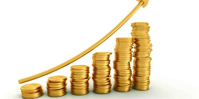 لزوم حمایت از پوشش ریسک به جای نوسان قیمت