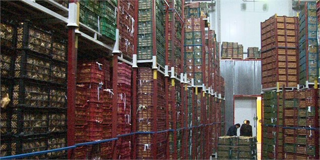 از فردا، آغاز توزیع میوه‌های شب عید