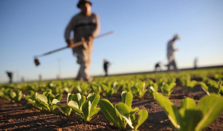 وضعیت نگران کننده کشاورزی