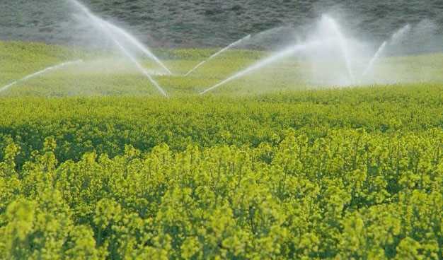 تجهیز سالانه حدود 300 هزار هکتار زمین به آبیاری نوین