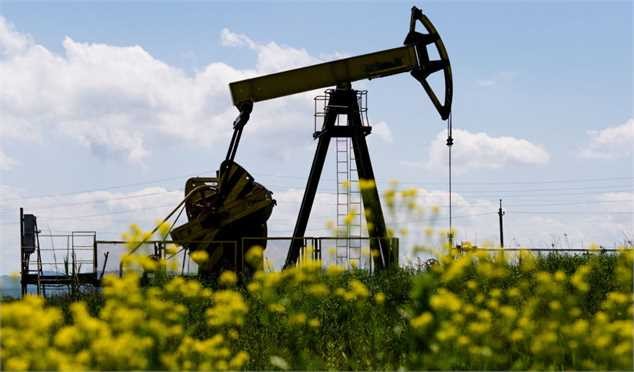 توقف صعود نفت در بالای مرز ۸۰ دلار