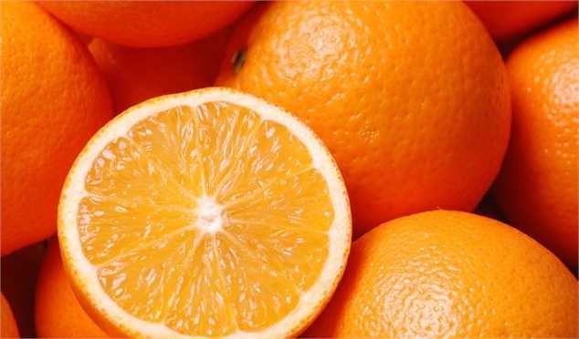 آغاز خرید توافقی مرکبات شمال کشور از هفته آینده