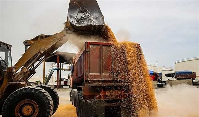 تذکر کتبی مجلس به ۲ وزیر؛ تخلیه همزمان مواد غذایی و شیمیایی در بنادر سلامت مردم را به مخاطره می‌اندازد