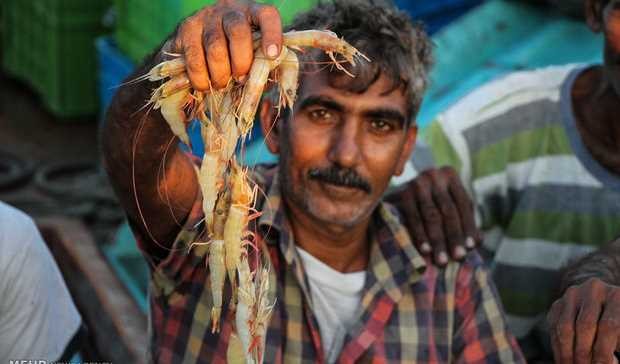 سهم آبزیان را در سبد غذایی خانوارها افزایش می دهیم