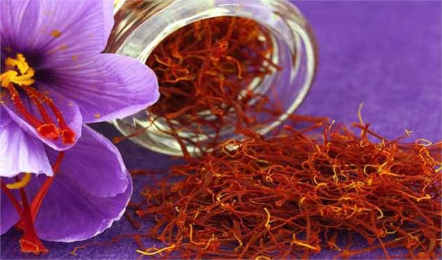 طلای سرخ ارزان شد/ صادرات زعفران تعریفی ندارد