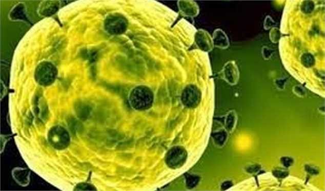 بانک‌های مرکزی برای مقابله با کرونا چه کردند؟