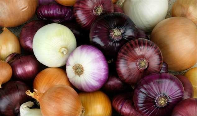 کاهش قیمت بیش از ۳۰ درصدی پیاز و سیب زمینی
