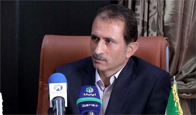 پرونده ۳هزار خودروی مانده در گمرک در حال رسیدگی است/ جزئیات جدید ترخیص کالا‌های اساسی