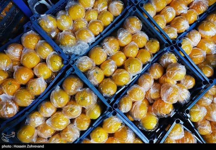 قیمت عمده فروشی میوه و صیفی در تهران اعلام شد