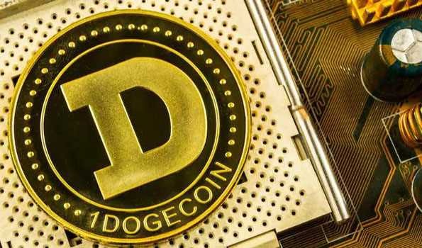 دوج کوین بیش از هر چیز دیگری در دنیا سوددهی داشته است!