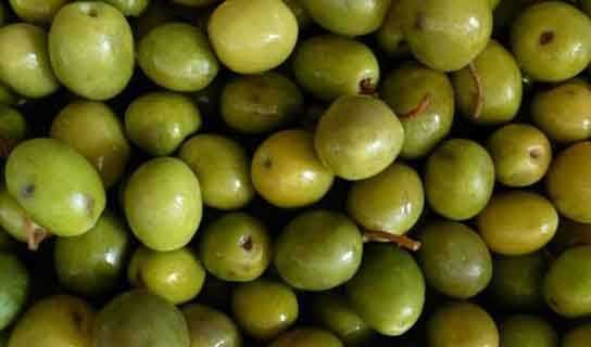 تکذیب قیمت ۳ برابری زیتون در ایران نسبت به ترکیه/ کنسرو زیتون ارزش غذایی ندارد