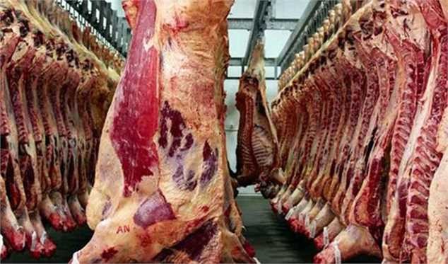 گوشت از دامدار ۶۵ تا ۷۵ هزار تومان خریداری می‌شود