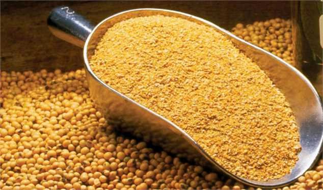 عرضه ١٠٠ هزارتن کنجاله در هفته آینده