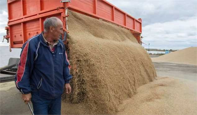 ارز ۴۲۰۰ تومانی ذاتاً فساد زاست و باید حذف شود/ افزایش قیمت‌ها در همه کشورها اتفاق افتاده است
