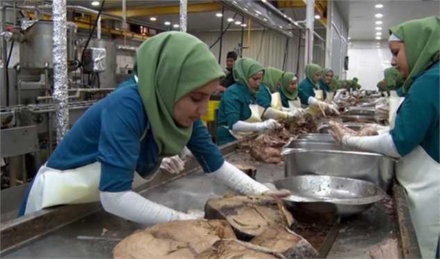 سقف قیمت تن ماهی ۳۵ هزار تومان تعیین است/ سازمان استاندارد هزینه‌های اضافی به تولید اضافه نکند