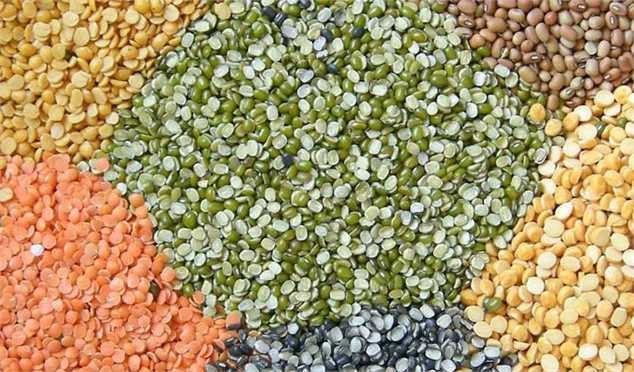 ۱۴ کشتی نهاده‌های دامی به لنگرگاه بندر امام خمینی رسیدند