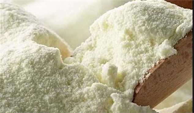 کاهش عوارض گمرکی و مالیات بر ارزش افزوده شیر خشک ابلاغ شود