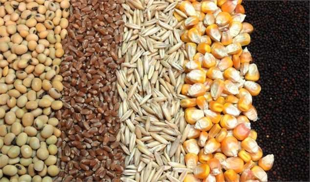 ۴.۷میلیون تن نهاده دامی دولتی در بنادر منتظر ترخیص