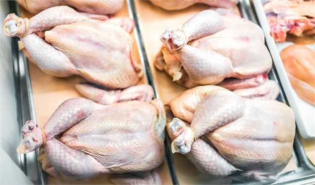 مردم مرغ را چند می‌خرند؟