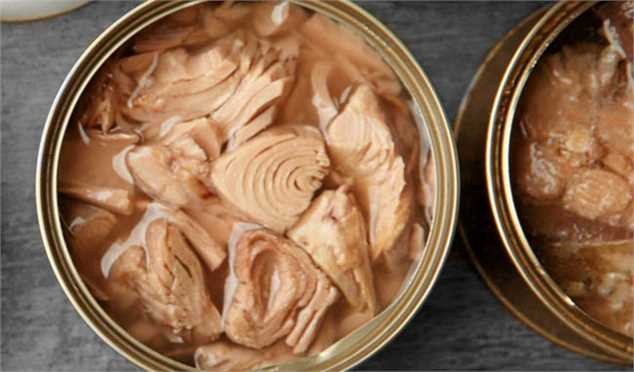 تولید تن ماهی از ۶۵۰ میلیون عدد در سال به ۲۵۰ میلیون عدد رسید