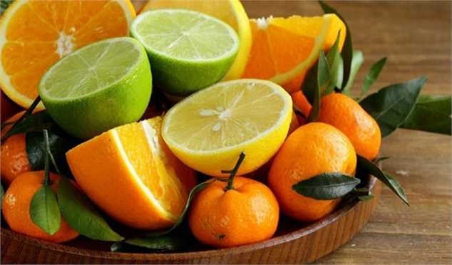 تولید مرکبات نسبت به سال قبل ۳۰ درصد افزایش یافت