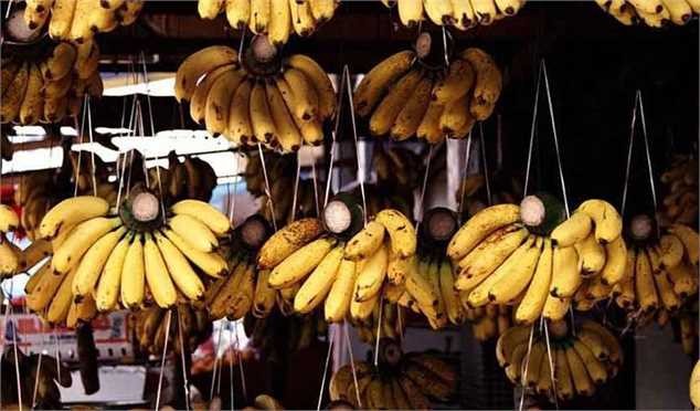 علت گرانی موز و پیاز، نوسان نرخ ارز و افزایش صادرات است