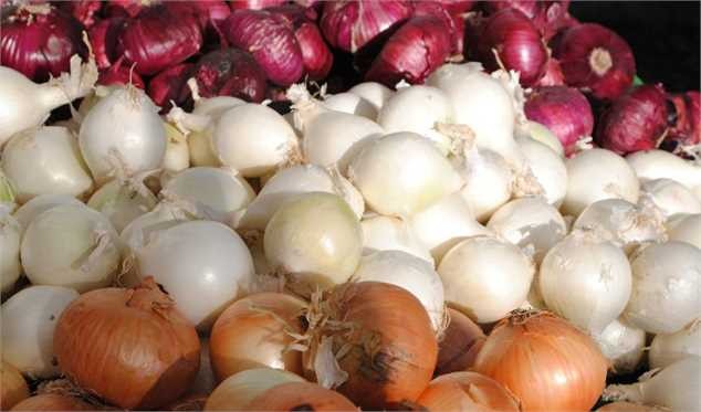 هفته آینده پیاز ارزان می‌شود