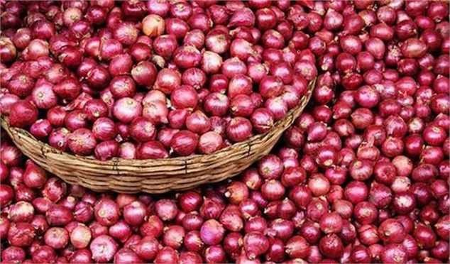 پیاز ارزان شد