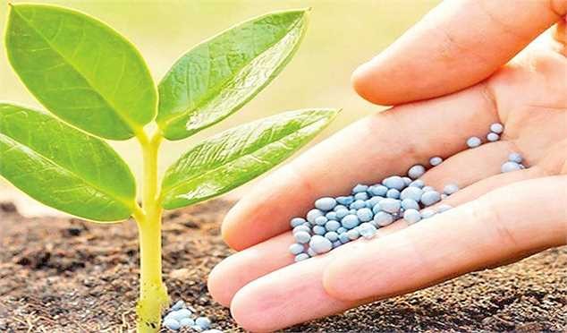 ۲ هزار تن کود شیمیایی در استان تهران طی اردیبهشت امسال توزیع شد