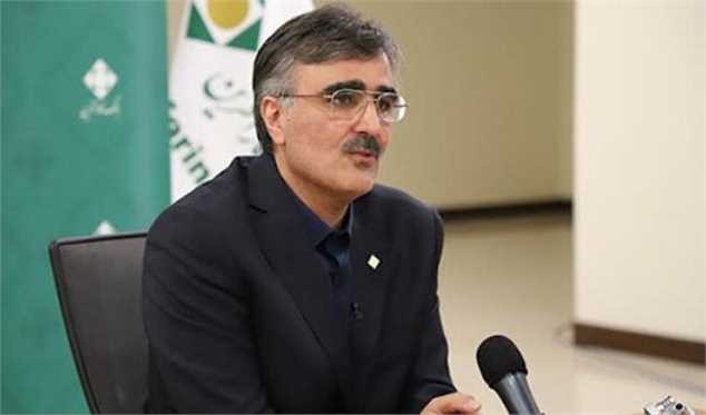 رییس کل بانک مرکزی: تئوری دولت برای مهار تورم تثبیت اقتصادی است