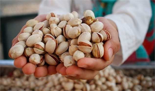 ­تولید و صادرات پسته ایران نصف شد