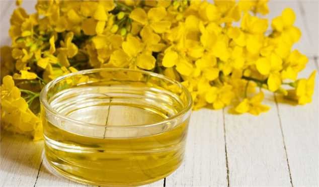 نرخ خرید تضمینی کلزا ۳۹ هزار تومان